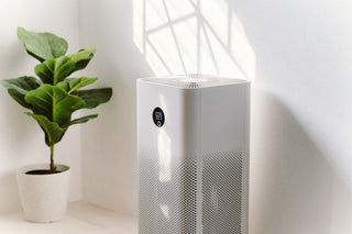 Air Purifiers